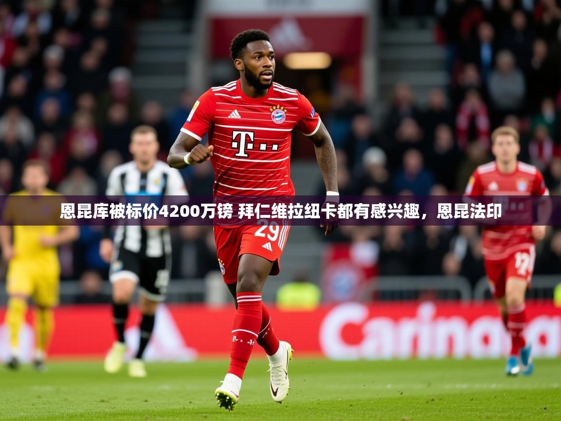 2025恩昆库被标价4200万镑 拜仁维拉纽卡都有感兴趣，恩昆法印  第1张