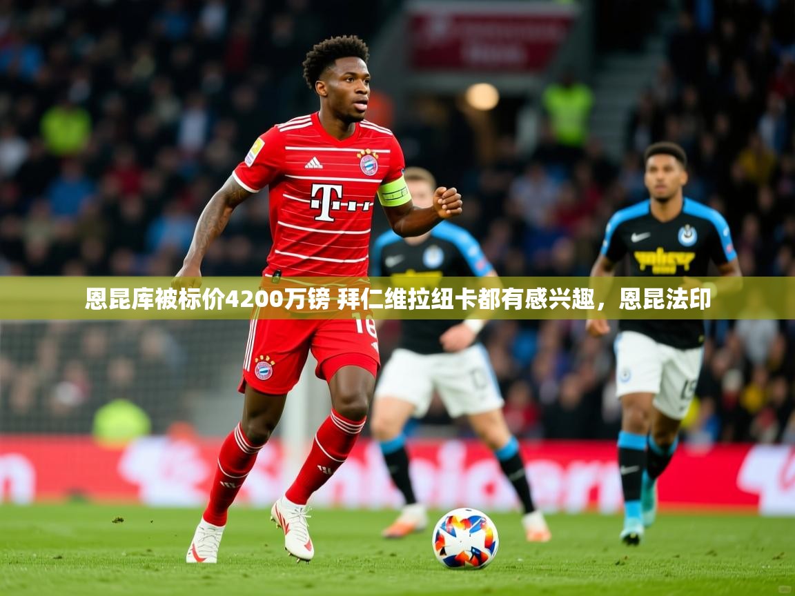 2025恩昆库被标价4200万镑 拜仁维拉纽卡都有感兴趣，恩昆法印  第4张