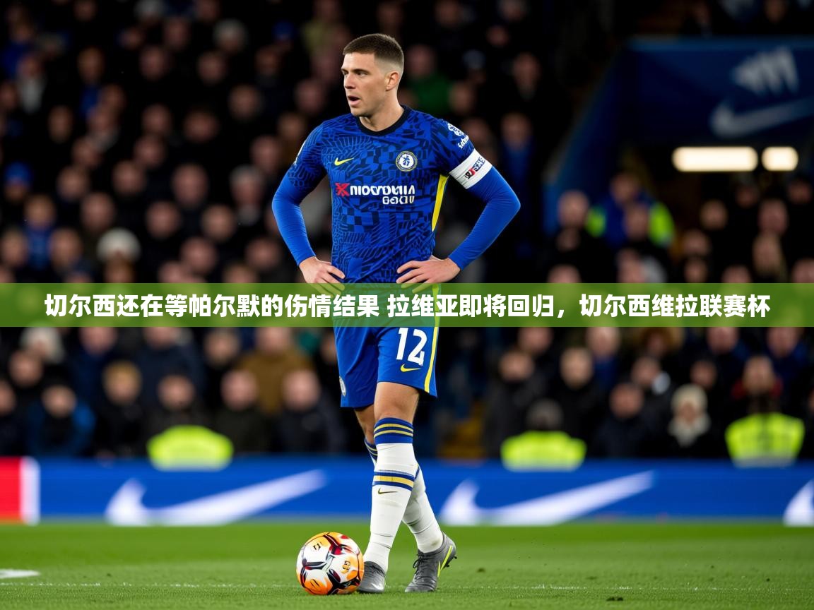2025云开体育app官网入口网页版切尔西还在等帕尔默的伤情结果 拉维亚即将回归，切尔西维拉联赛杯  第2张