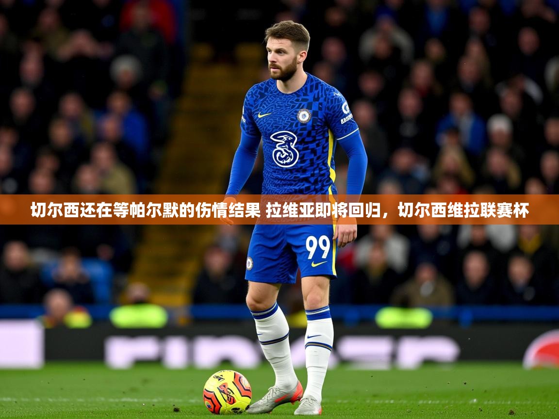 2025云开体育app官网入口网页版切尔西还在等帕尔默的伤情结果 拉维亚即将回归，切尔西维拉联赛杯  第3张