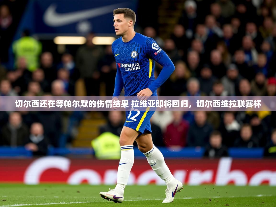 2025云开体育app官网入口网页版切尔西还在等帕尔默的伤情结果 拉维亚即将回归，切尔西维拉联赛杯  第4张