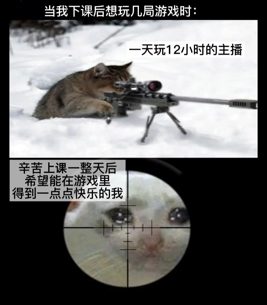 输赢悉数在此：顶级联赛瘾痴球迷