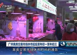 开云体育平台-雷恩战平那不勒斯，势头趋于稳定的简单介绍